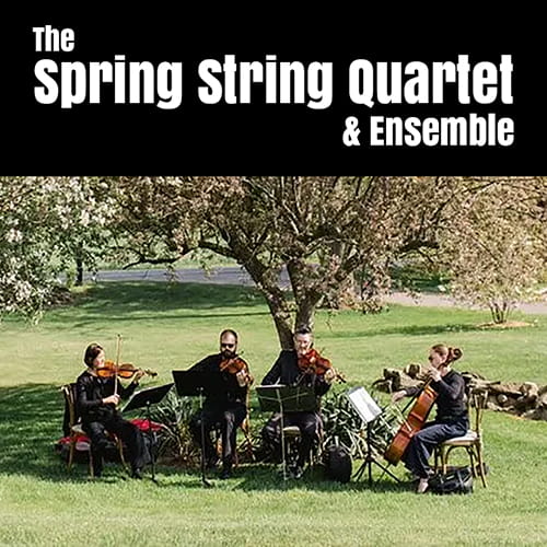Spring String Quartet & Ensemble - Private Events & Weddings Buffalo Music Club